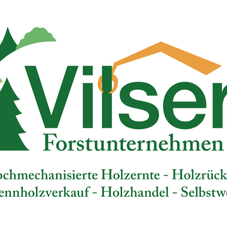 Logo Vilser